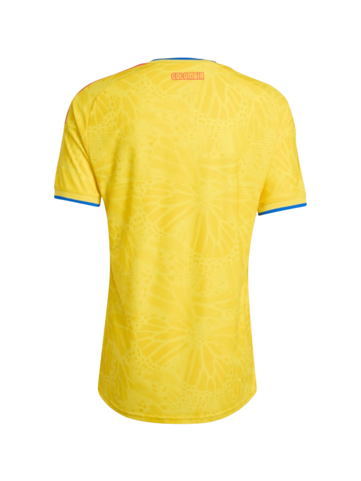 Vista trasera de la camiseta